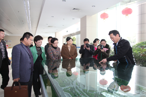 南京市江宁区副区长陆蓉一行来院参观考察